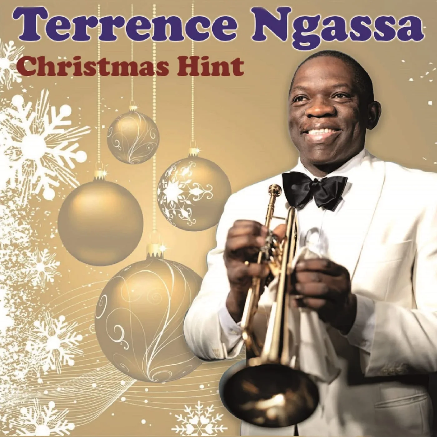 Albumcover Christmas Hint